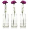 3 Pack | 8.86" Camila Clear Vintage Glass Bottle With Cork - DIY Wedding Flower Bud Vases -Lights Decor Shop 3 pack clear vintage glass bottle camila flower vase 3a448d07 ad94 40d1 8c37 5e6bb7c73f6f