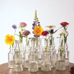 12 Pack | 6.5" Ella Clear Vintage Glass Bottle With Cork - DIY Wedding Flower Bud Vases