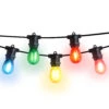 24 Socket Multi-Color Outdoor Commercial String Light Set, 54 FT Black Cord W/ 2-Watt Shatterproof LED Bulbs, Weatherproof SJTW