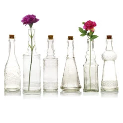 Best Of Show Clear Vintage Glass Bottles Set - (6 Pack, Assorted Designs)