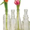 Clear Dakota Glass Bottle Set -Lights Decor Shop CG90 4 set of four clear vintage bud vase bottle set 68774 d0cc6c70 eaff 4019 8405 a109432390d7