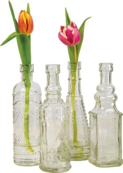 Clear Dakota Glass Bottle Set