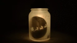 Decorative Christmas Holiday Frosted White Pendant Light Mason Jar Luminaries Set (4 PACK) -Lights Decor Shop christmas holiday pendant frosted mason jar lights set white image 3