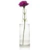 8.86" Camila Clear Vintage Glass Bottle With Cork - DIY Wedding Flower Bud Vases