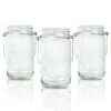 BLOWOUT (6-Pack) Fantado Wide Mouth Clear Mason Jar W/ Handle, 32oz