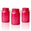 BLOWOUT (6-Pack) Fantado Regular Mouth Frosted Fuchsia / Hot Pink Color Mason Jar W/ Handle, 16oz / 1 Pint -Lights Decor Shop fantado regular mouth frosted hot pink mason jar 2000x cec540c9 d552 4e63 b06b dd9ea79de8c0
