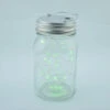 BLOWOUT Fantado Wide Mouth Clear Mason Jar Light W/ Hanging Green Fairy LED Kit -Lights Decor Shop fantado wide mouth clear mason jar led green