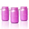 BLOWOUT (6-Pack) Fantado Wide Mouth Frosted Lavender Mason Jar W/ Handle, 32oz