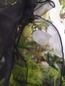 BLOWOUT Black Organza Chair Sashes (9FT, 10 PACK) -Lights Decor Shop organza chair sashes wedding black image 4 702a5015 b070 42f6 8ff3 feabfa79e746